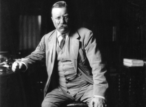 Teddy Roosevelt Photo Gallery image